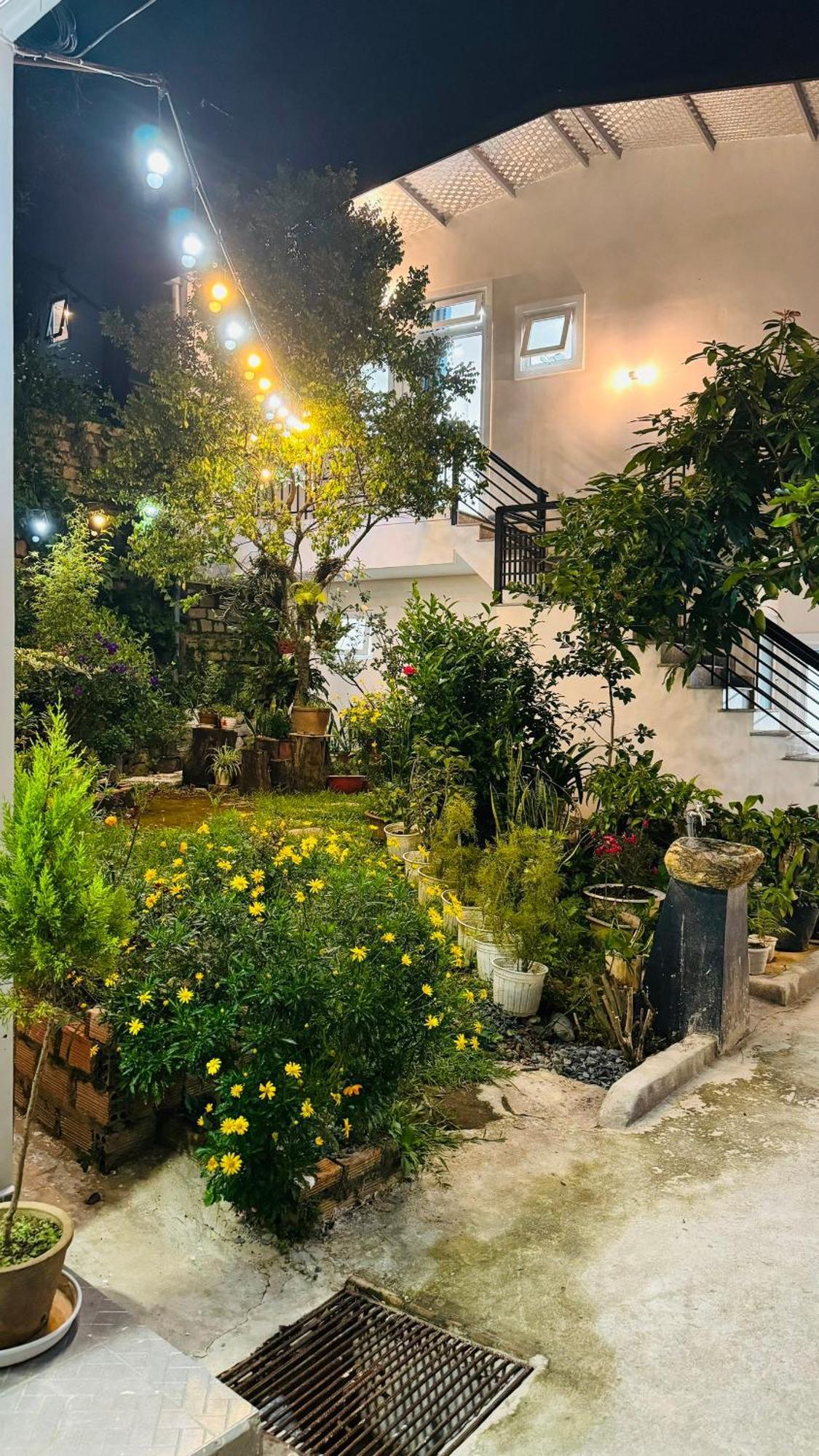 Nha Cua Soc Apartment ดาลัด ภายนอก รูปภาพ
